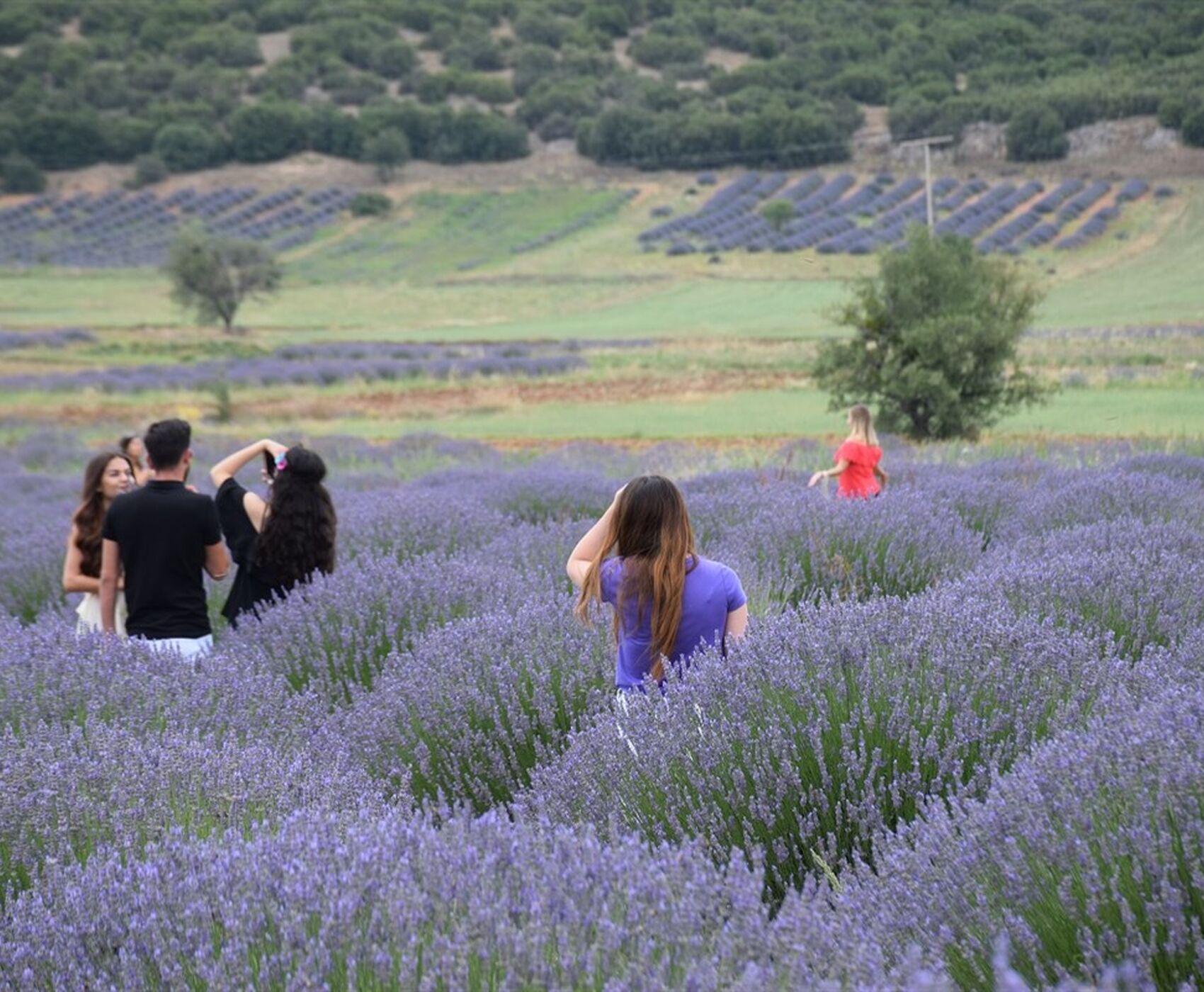 ALTINBEŞİK MAĞARASI & ORMANA DÜĞMELİ EVLER & BEYŞEHİR NİLÜFER BAHÇELERİ & LEYLEKLER VADİSİ & LAVANTA TARLALARI