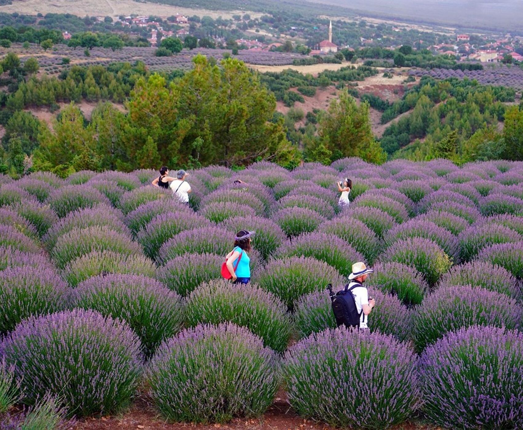 ALTINBEŞİK MAĞARASI & ORMANA DÜĞMELİ EVLER & BEYŞEHİR NİLÜFER BAHÇELERİ & LEYLEKLER VADİSİ & LAVANTA TARLALARI