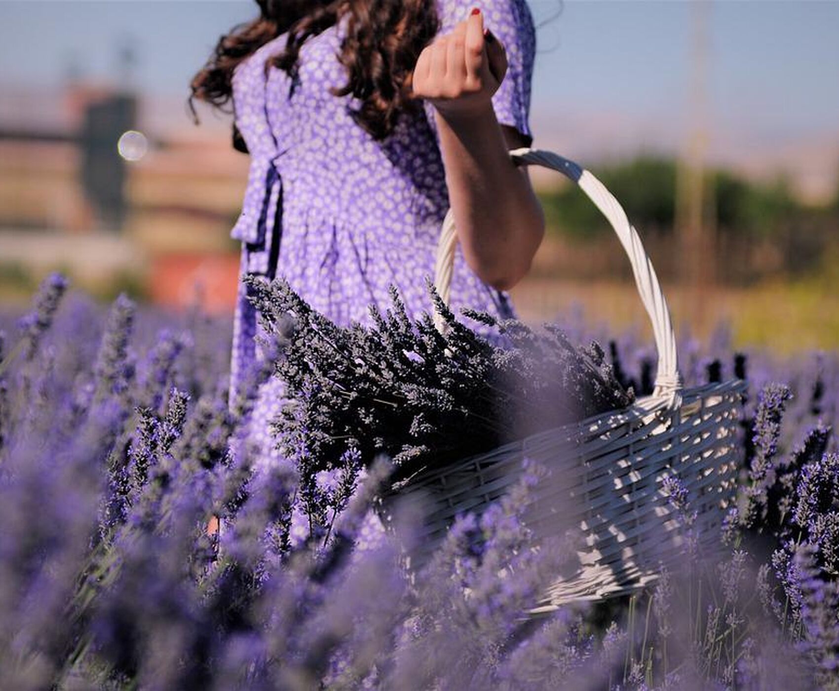 ALTINBEŞİK MAĞARASI & ORMANA DÜĞMELİ EVLER & BEYŞEHİR NİLÜFER BAHÇELERİ & LEYLEKLER VADİSİ & LAVANTA TARLALARI