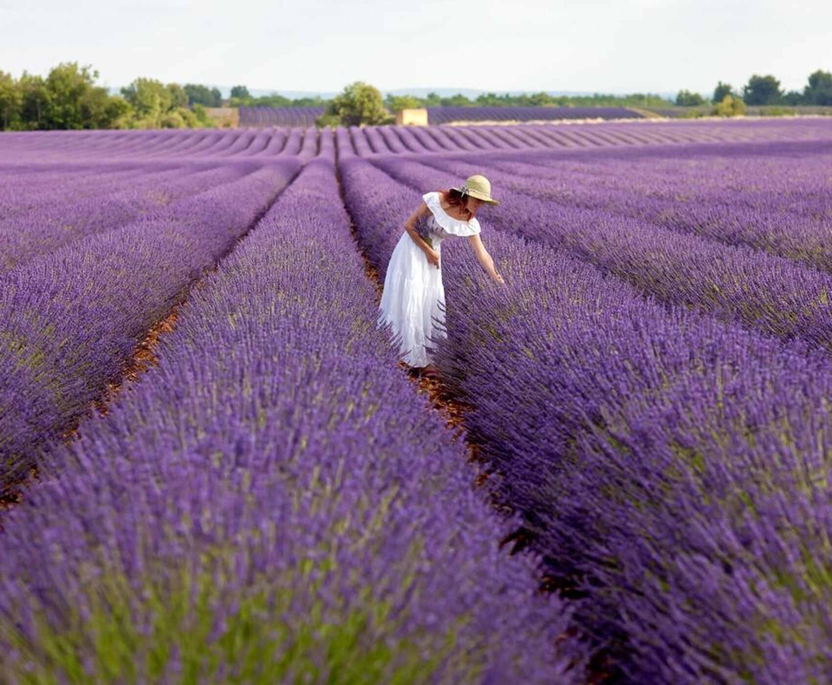 ALTINBEŞİK MAĞARASI & ORMANA DÜĞMELİ EVLER & BEYŞEHİR NİLÜFER BAHÇELERİ & LEYLEKLER VADİSİ & LAVANTA TARLALARI