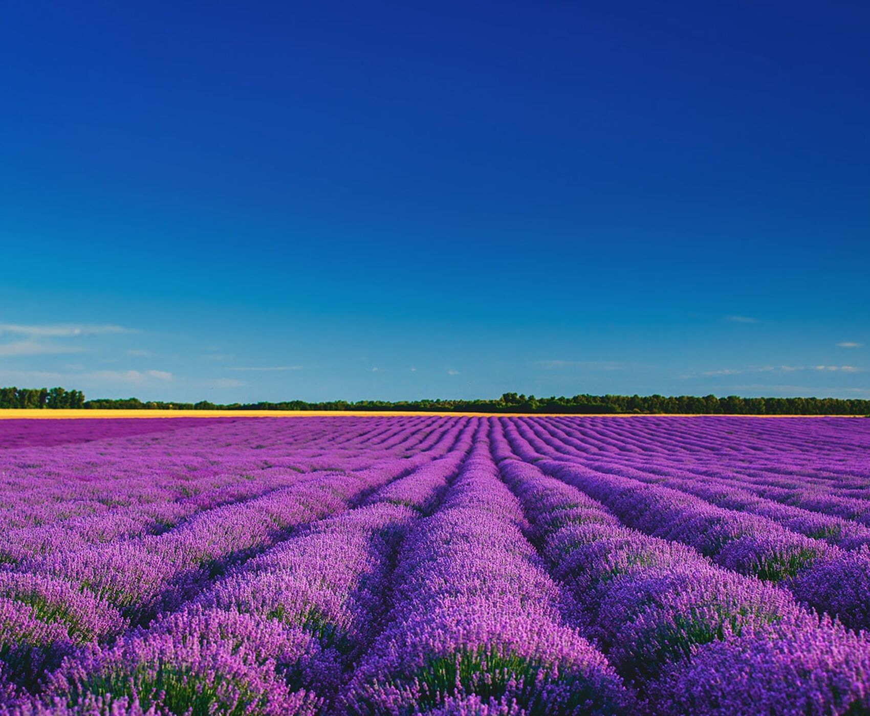 ALTINBEŞİK MAĞARASI & ORMANA DÜĞMELİ EVLER & BEYŞEHİR NİLÜFER BAHÇELERİ & LEYLEKLER VADİSİ & LAVANTA TARLALARI