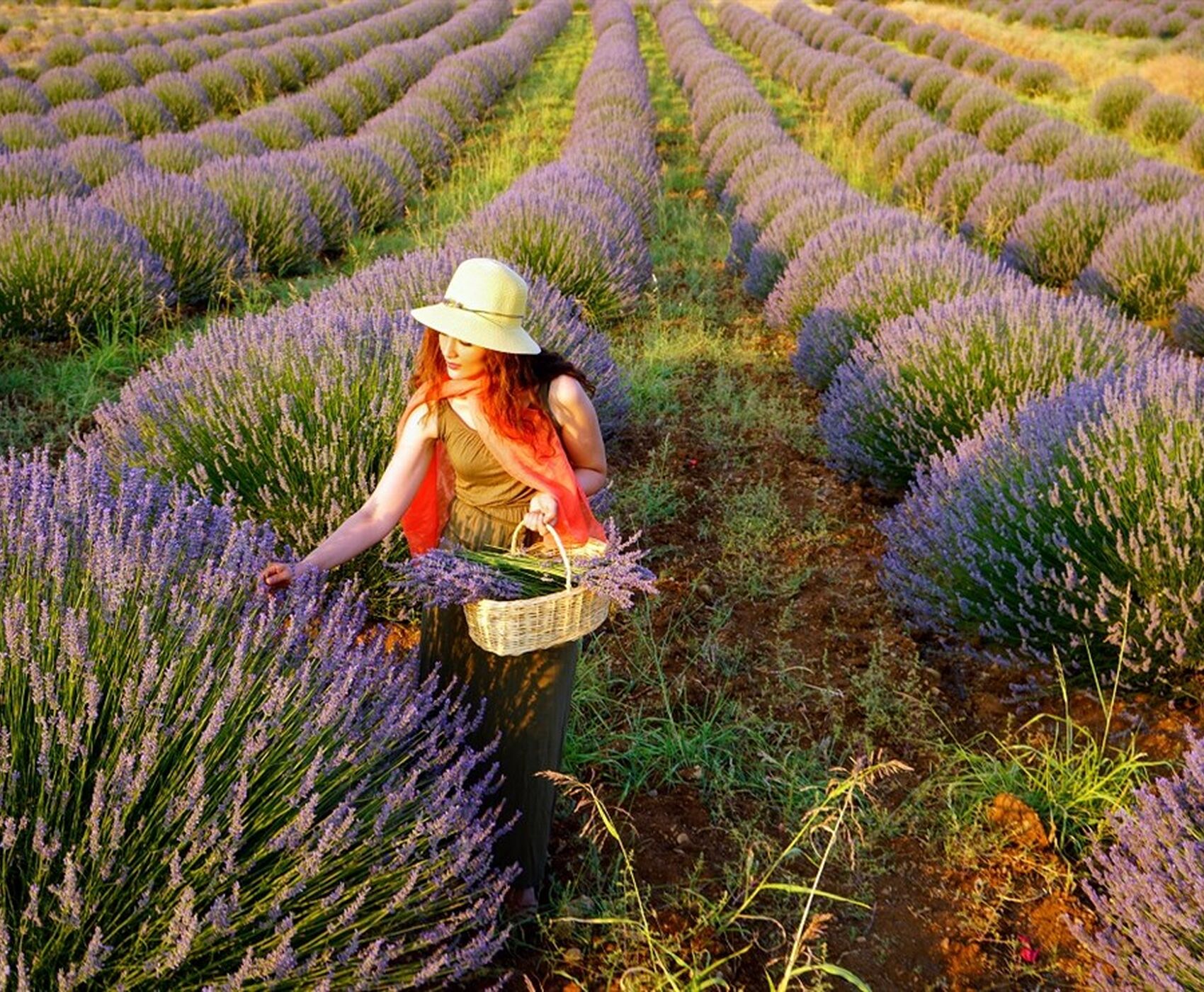 ALTINBEŞİK MAĞARASI & ORMANA DÜĞMELİ EVLER & BEYŞEHİR NİLÜFER BAHÇELERİ & LEYLEKLER VADİSİ & LAVANTA TARLALARI