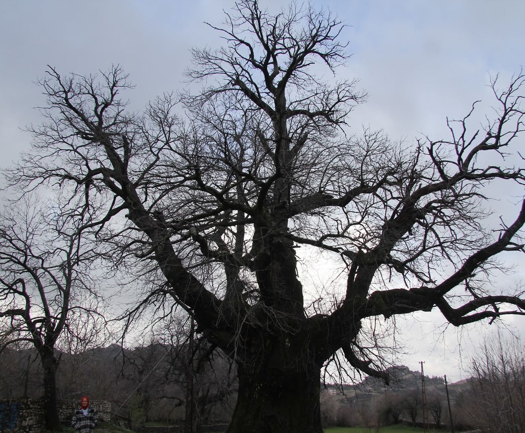 ALTINBEŞİK MAĞARASI & ORMANA DÜĞMELİ EVLER & BEYŞEHİR NİLÜFER BAHÇELERİ & LEYLEKLER VADİSİ & LAVANTA TARLALARI