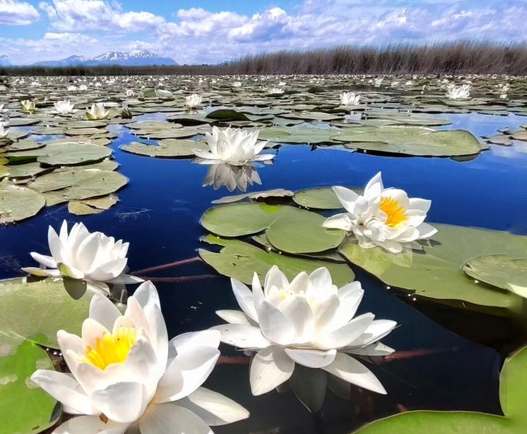 ALTINBEŞİK MAĞARASI & ORMANA DÜĞMELİ EVLER & BEYŞEHİR NİLÜFER BAHÇELERİ & LEYLEKLER VADİSİ & LAVANTA TARLALARI