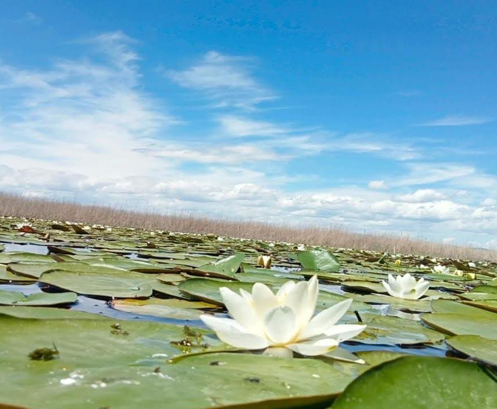ALTINBEŞİK MAĞARASI & ORMANA DÜĞMELİ EVLER & BEYŞEHİR NİLÜFER BAHÇELERİ & LEYLEKLER VADİSİ & LAVANTA TARLALARI
