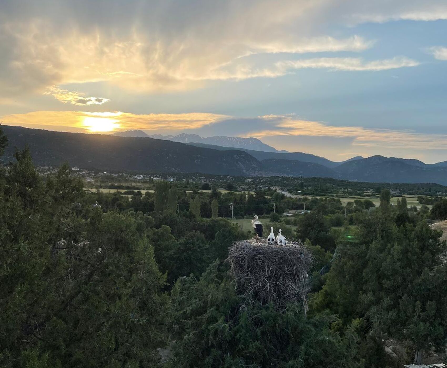 ALTINBEŞİK MAĞARASI & ORMANA DÜĞMELİ EVLER & BEYŞEHİR NİLÜFER BAHÇELERİ & LEYLEKLER VADİSİ & LAVANTA TARLALARI