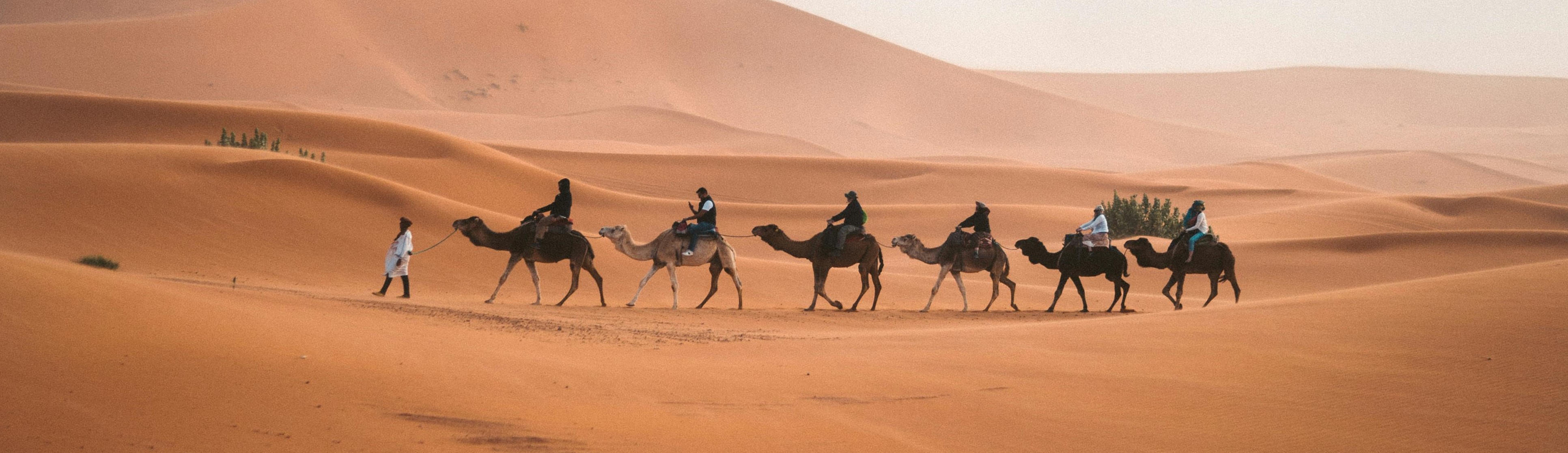 MISIR ÜRDÜN TURLARI