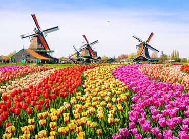 Görkemli Dörtlü Benelüx & İsviçre & Fransa & Almanya 7 Gece - THY ile 23 ve 24 Mayıs Hareket (Kurban Bayramı Özel) AT083