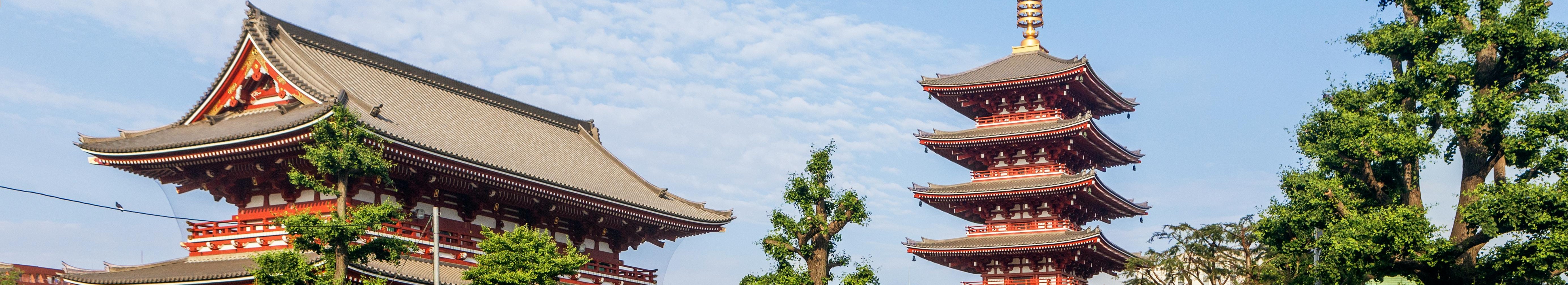 JAPONYA &GÜNEY KORE TURLARI