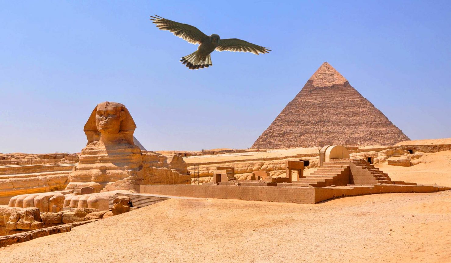 KUZEY AFRİKA TURLARI